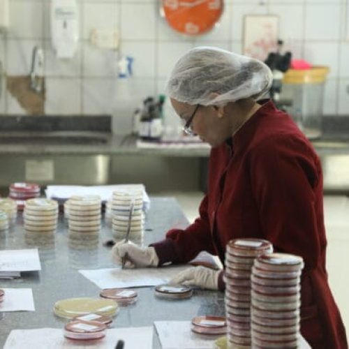 Tecnologia laboratorial avançada do Lacen garante maior precisão no acompanhamento clínico de doenças