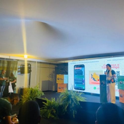 Governo de RO lança assistente virtual para promover turismo no estado