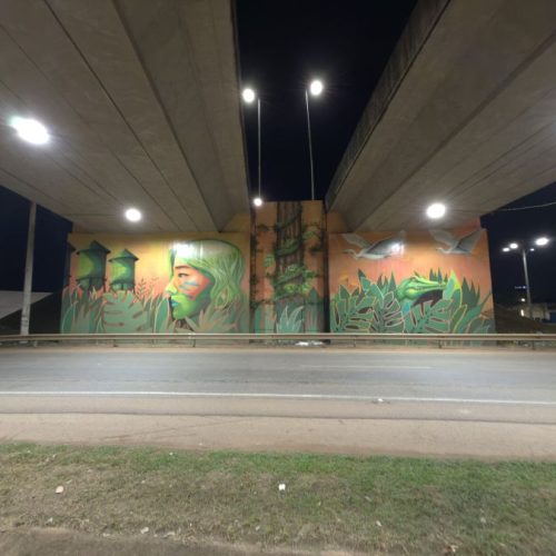 Porto Velho passa a ter os cinco viadutos totalmente iluminados pela primeira vez