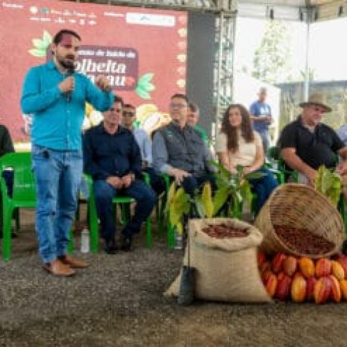 Lançamento de Início da Colheita do Cacau 2025