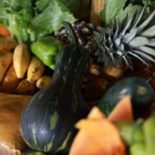 Lançamento do Programa de Aquisição de Alimentos 2025