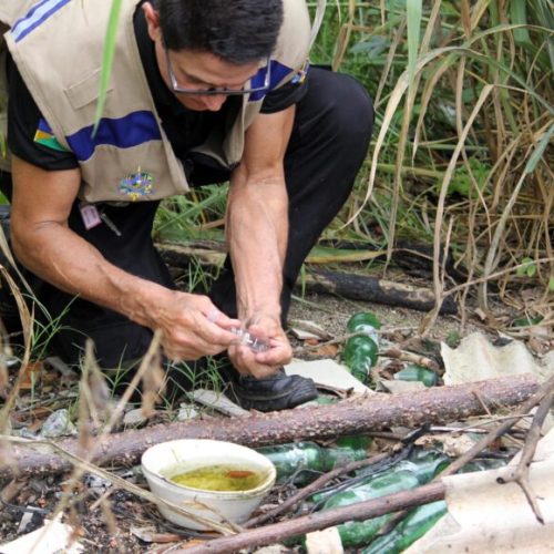 Ações para proteger a população contra dengue são reforçadas pelo governo de RO; importância da vacina é destacada