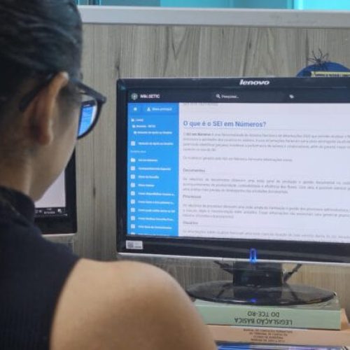 Manual e atualizações aprimoram o uso da ferramenta SEI em Números