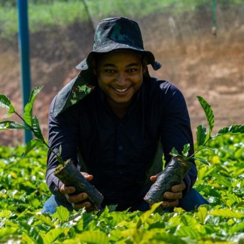 Governo de RO institui Programa Estadual Jovem Empreendedor Rural para fortalecer a juventude no campo