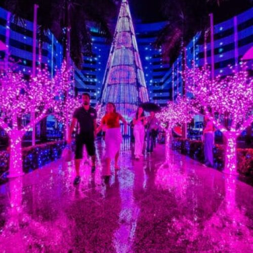 Abertura do Natal de Luz 2025 – “Jardim Encantado”