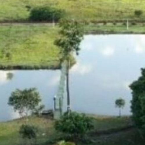 Servidor morre afogado durante festa de confraternização