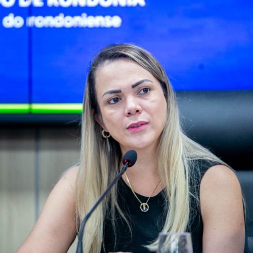 Deputada Cláudia de Jesus alerta sobre colapso logístico no Porto e exige medidas na Comissão de Agropecuária