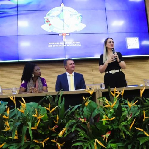 Cláudia de Jesus organiza reunião da Comissão de Educação com o Sintero