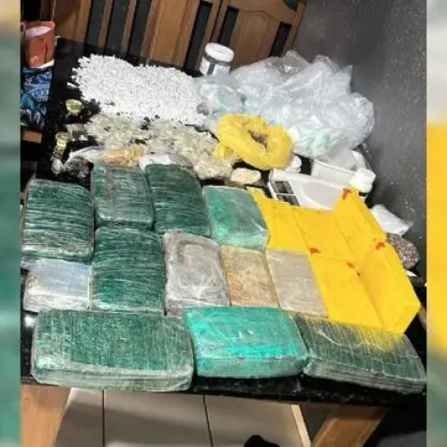 Operação Caçador: PM apreende mais de 18 quilos de drogas e prende suspeito em Porto Velho