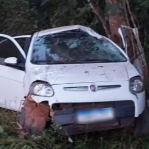 Mulher morre após capotar carro e colidir com árvore na RO-377