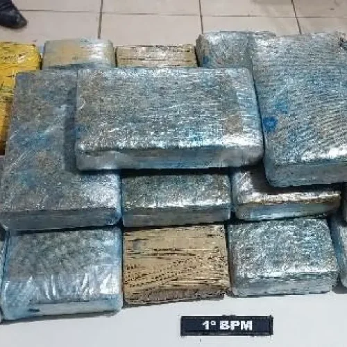 Mulher é presa com 16 quilos de maconha após denúncia anônima em Porto Velho