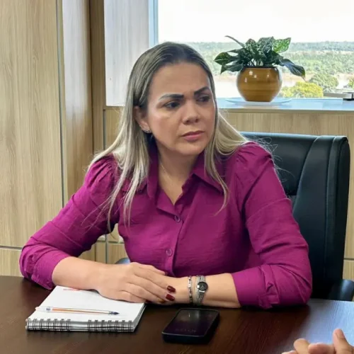 Deputada Cláudia de Jesus solicita manutenção da BR-429 em Alvorada do Oeste