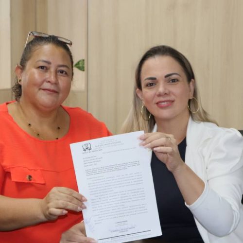 Deputada Cláudia de Jesus atende demandas de vereadora de Alta Floresta d’Oeste