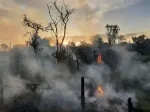 Duas pessoas são presas por atear fogo em áreas de vegetação em RO
