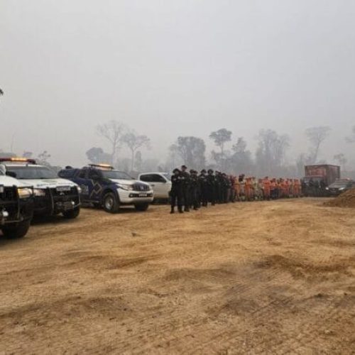 Governo de RO reforça efetivo no combate as queimadas criminosas no Parque Guajará e Soldado da Borracha