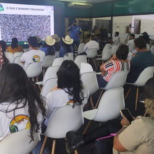 Oficinas técnicas destacam importância do trânsito agropecuário e da qualidade sanitária das sementes