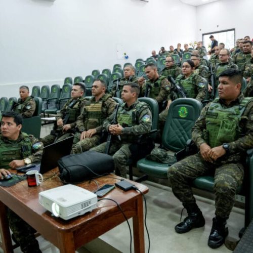 Operação “Protetor dos Biomas” reforça ações integradas de combate ao desmatamento em Rondônia