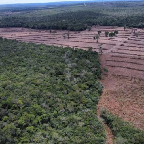 Relatório da “Operação Hileia” destaca avanços no combate ao desmatamento em Rondônia