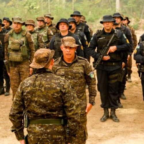 Com esforço conjunto, Parque Estadual de Guajará-Mirim alcança redução recorde da área atingida por incêndios florestais