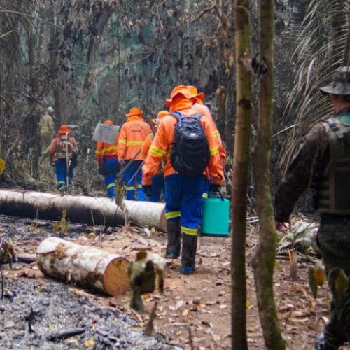 Governo de RO intensifica o combate às queimadas com educação ambiental e fiscalizações