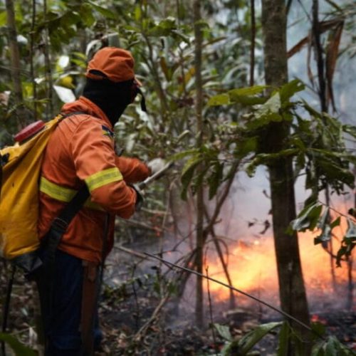Sancionada pelo governo de RO lei que prevê medidas mais rigorosas contra incêndios florestais
