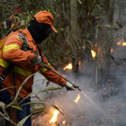 OPERAÇÃO TEMPORÃ II: Focos de incêndios na região Soldado da Borracha tem redução de 46% com ações incisivas