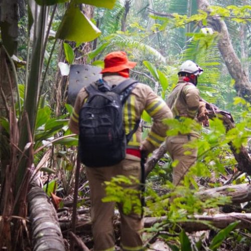 MUDANÇAS CLIMÁTICAS: Rondônia se prepara para enfrentamento da estiagem de 2025