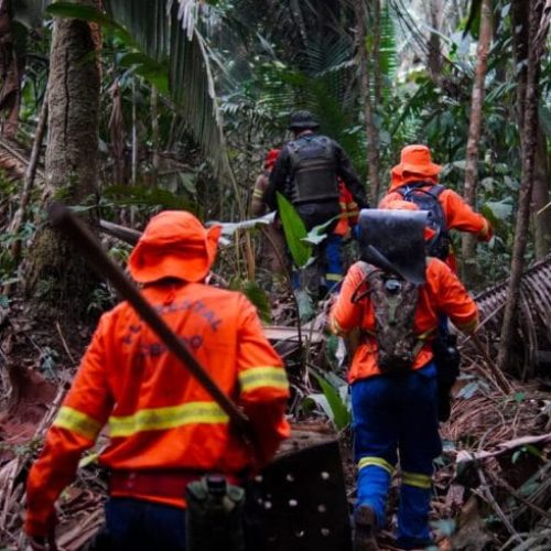 Rondônia constrói cenário mais seguro e preparado para combate a possíveis incêndios florestais em 2025