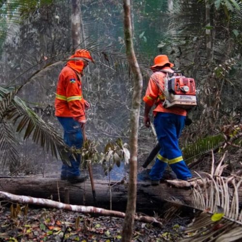 Governo de RO e Prefeitura de Porto Velho firmam cooperação para fortalecer combate às queimadas