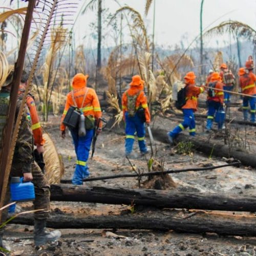 Rondônia alcança redução histórica nas queimadas e lidera ranking nacional