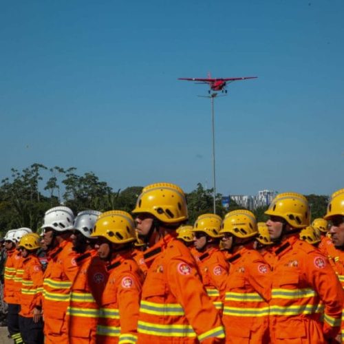 Governo amplia resposta a incêndios florestais e Operação Verde Rondônia alcança mais de 180 focos combatidos
