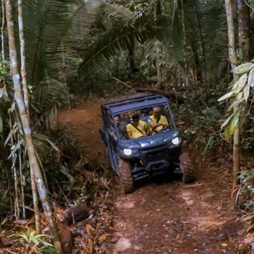 Prefeitura de Porto Velho inaugura no dia 22 de dezembro o Safari Ecológico, nova atração do Parque Natural