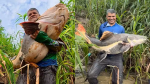 Pescador fisga pirarara gigante no Rio Madeira