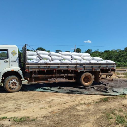 Prefeitura de Porto Velho impulsiona pequenos produtores com programas e suporte contínuo