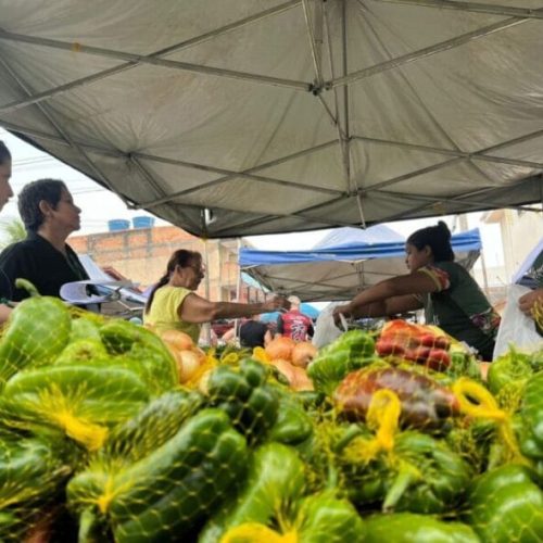 Programas de aquisição de alimentos garantem renda a centenas de agricultores familiares