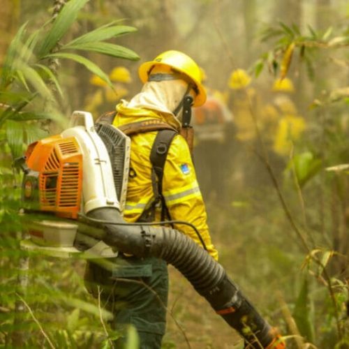 Força-tarefa mantém esforço para extinção de incêndios no Parque de Guajará-Mirim