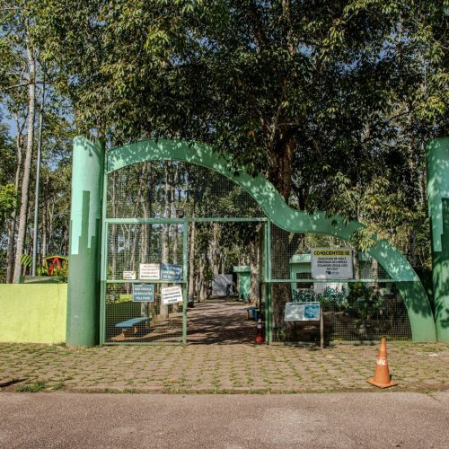 CÃES E GATOS: Castra+Rondônia realiza mutirão de castrações no Parque Circuito entre os dias 1º e 5 de abril