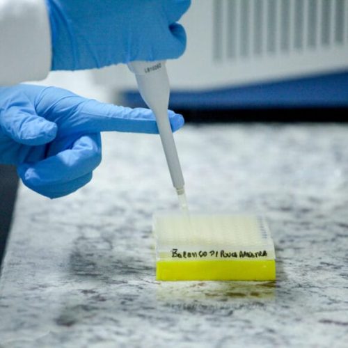 Buscas com DNA é fortalecida pelo governo de RO; mobilização nacional amplia chances de reencontros