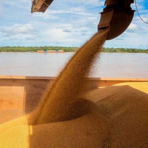 Rondônia celebra maior crescimento da produção agrícola do país e reforça compromisso com o desenvolvimento do setor