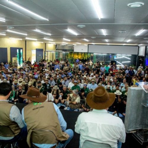 MAIOR DO NORTE: governo de RO premia melhores produções de leite do estado