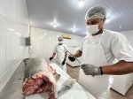Do SIM para o Brasil: regularização abre mercado e fortalece agroindústrias de PVH