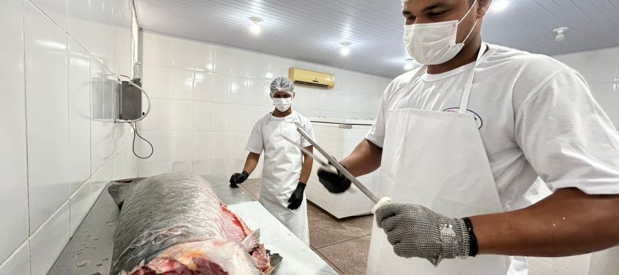 Do SIM para o Brasil: regularização abre mercado e fortalece agroindústrias de PVH