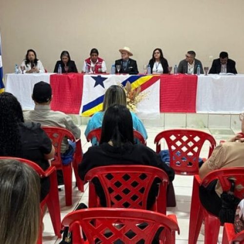 Cooperação em Saúde Pública é reforçada em reunião do governo de RO com a Bolívia e municípios de fronteira