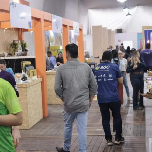 Proampe Agro, do governo de RO, promove avanços na cafeicultura do estado e impulsiona produtores indígenas