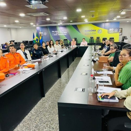 Diagnóstico da Primeira Infância é apresentado durante reunião do Comitê Estadual Intersetorial de Políticas Públicas