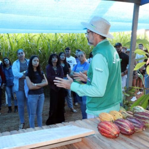 Emater-RO comemora 53 anos com destaque no desenvolvimento da agricultura familiar no estado