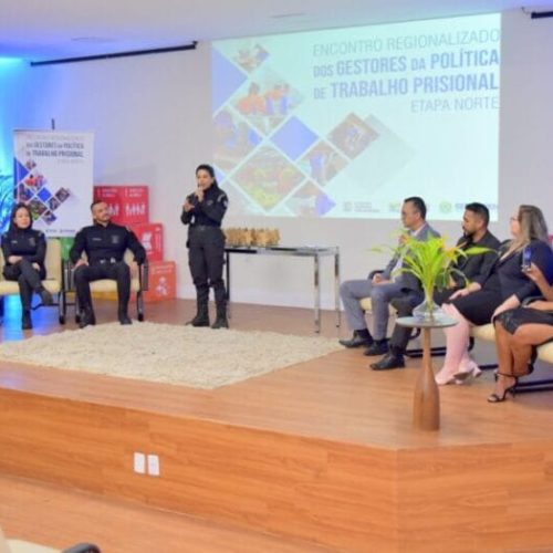 Governo de RO participa da construção dos Planos Estaduais de Trabalho e Renda no Sistema Penal, em Roraima