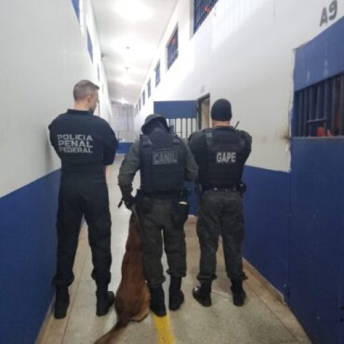 Governo de RO integra 10ª fase da Operação Mute e intensifica ações de segurança nas unidades prisionais