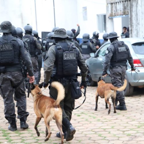 Revistas gerais e fiscalização do monitoramento eletrônico reforçam segurança prisional em Rondônia