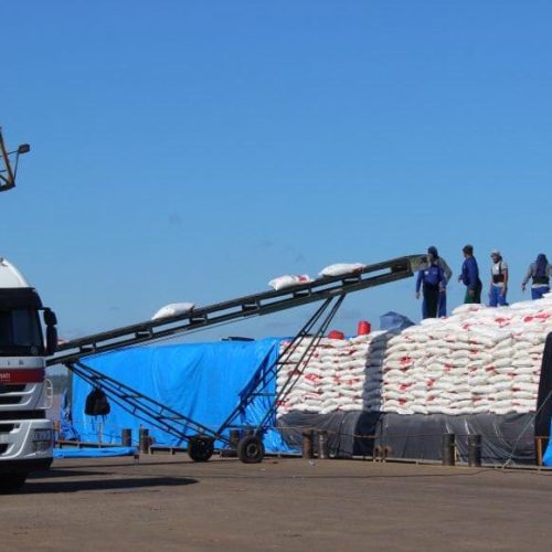 Rondônia alcança recorde e se consolida como segundo maior exportador do Norte, conforme relatório econômico